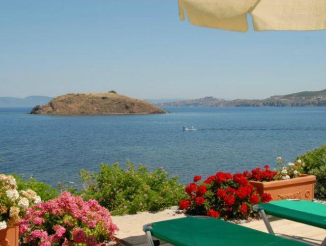 Birds Bay Resort Petra  Cameră foto